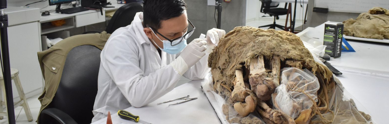 Alianza entre la Fundación Wiese y el Gobierno Suizo para la Conservación del Patrimonio Cultural
